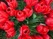 Love Takes Time Series 2, Session 14 - Forgiveness in Marriage